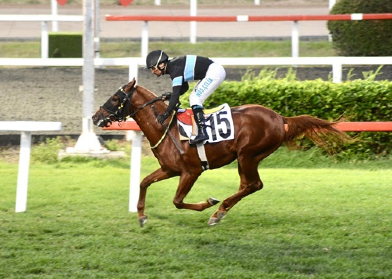 Kazım Karabekir Koşusu’nda zafere Soyupak uzandı