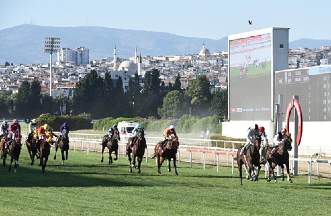 Turgut Koyuncuoğlu Koşusu'nda kazanan Lady North