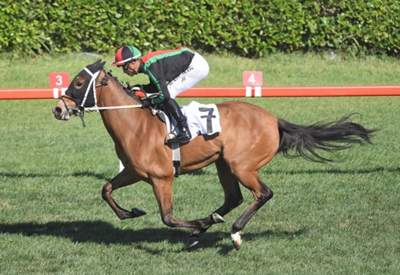 Sadun Eşref Güney Atığ Koşusu’nda kazanan Grace Of God oldu