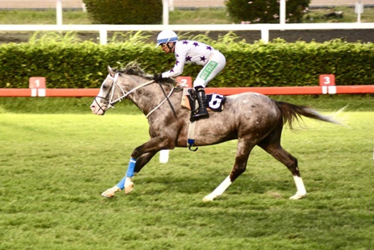 İhsan Atçı Koşusu’nu Aksöz kazandı