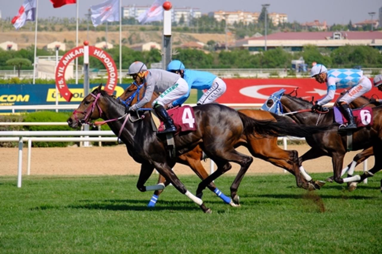 Anadolu At Irklarını Yaşatma ve Geliştirme Derneği Koşusu’nda kazanan Bosetti oldu
