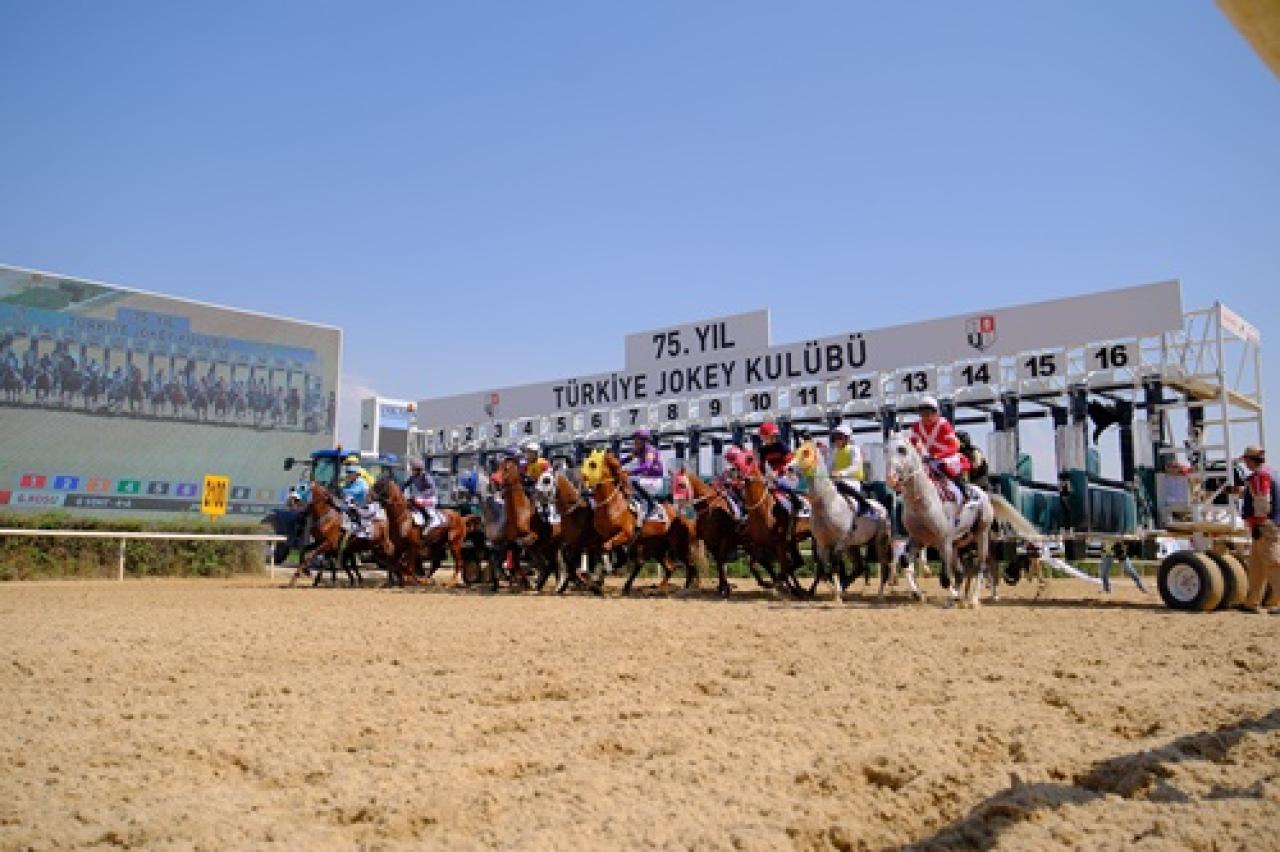 Yüksek Komiserler Kurulu Koşusu'nu Işık Gece kazandı