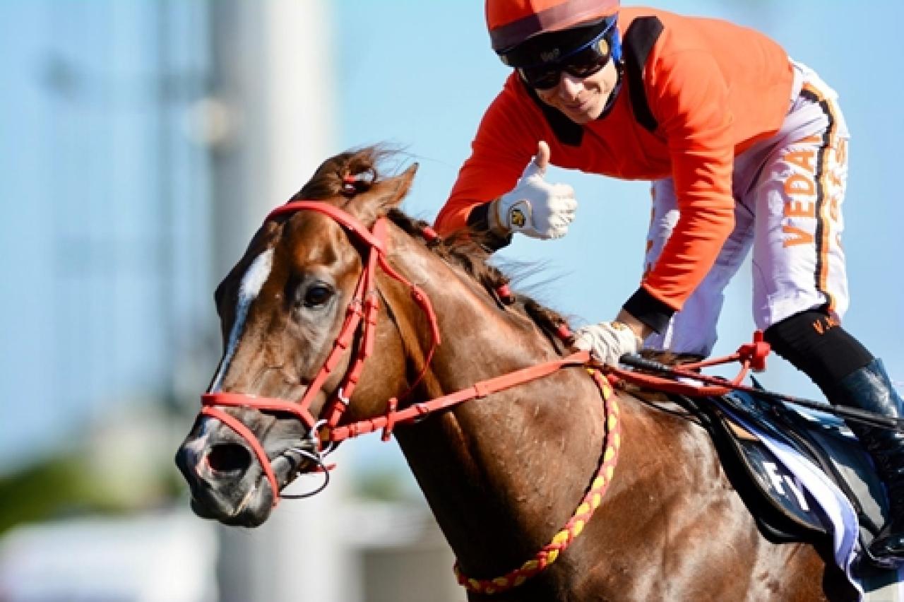 Yavuz Sultan Selim Koşusu'nun galibi Charabanc oldu