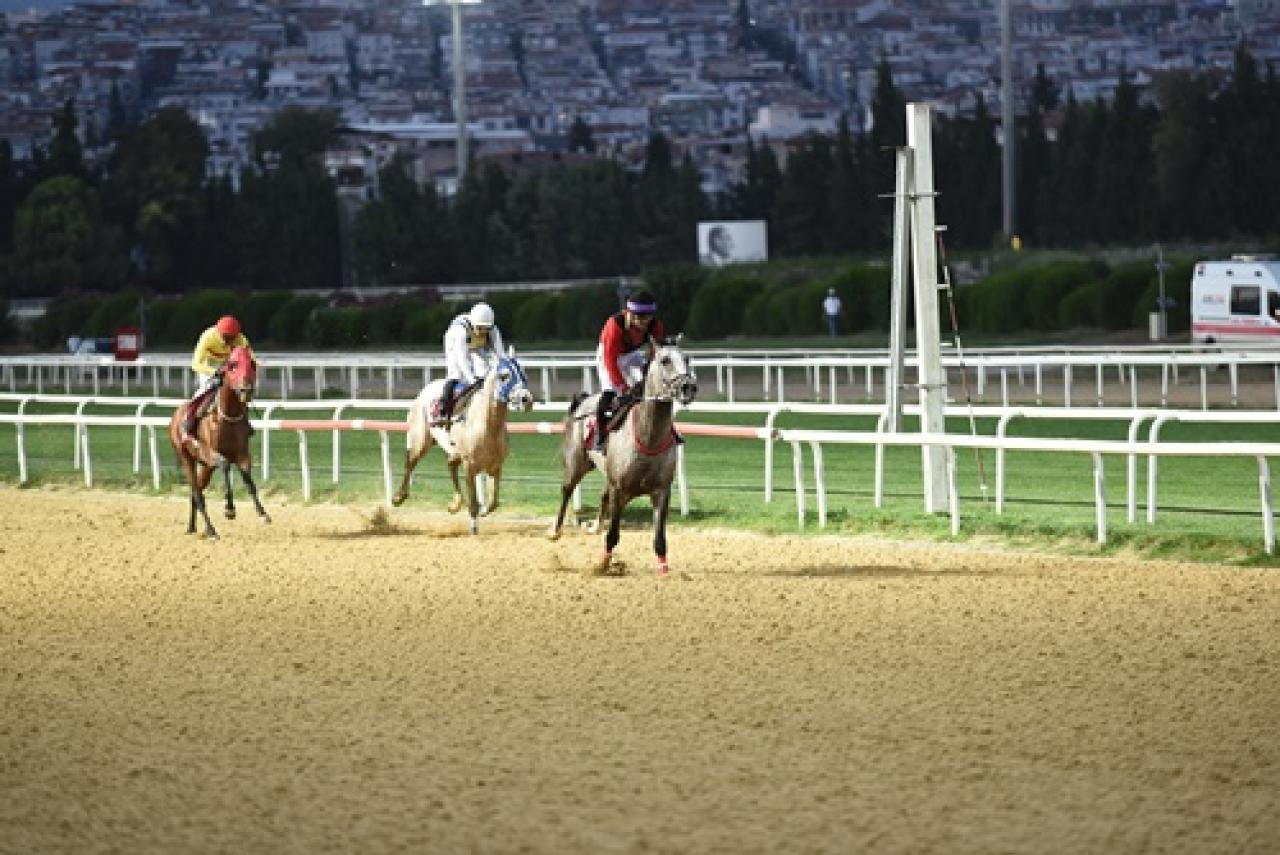 Koşucu Bekir Efendi Koşusu'nu Karizmatik kazandı