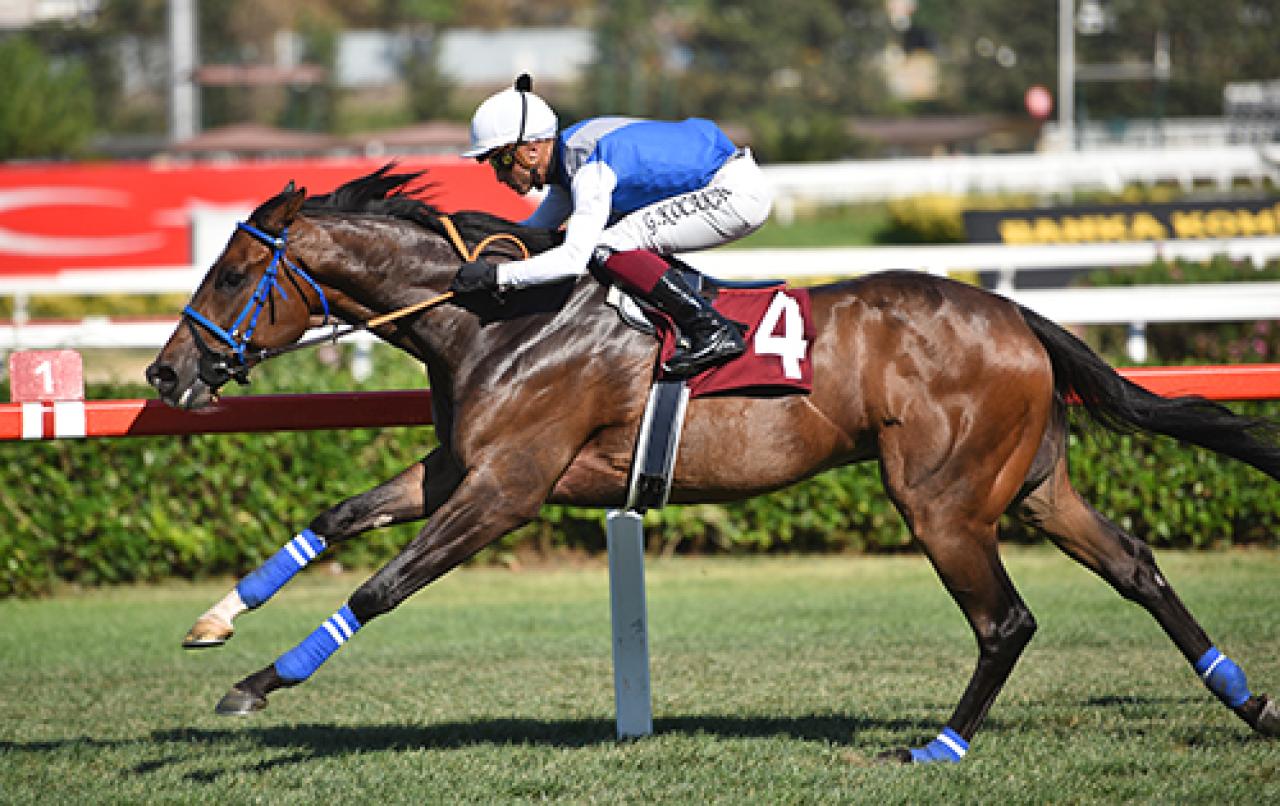 Atilla Özsoy Koşusu’nda galibiyete Subutai ulaştı