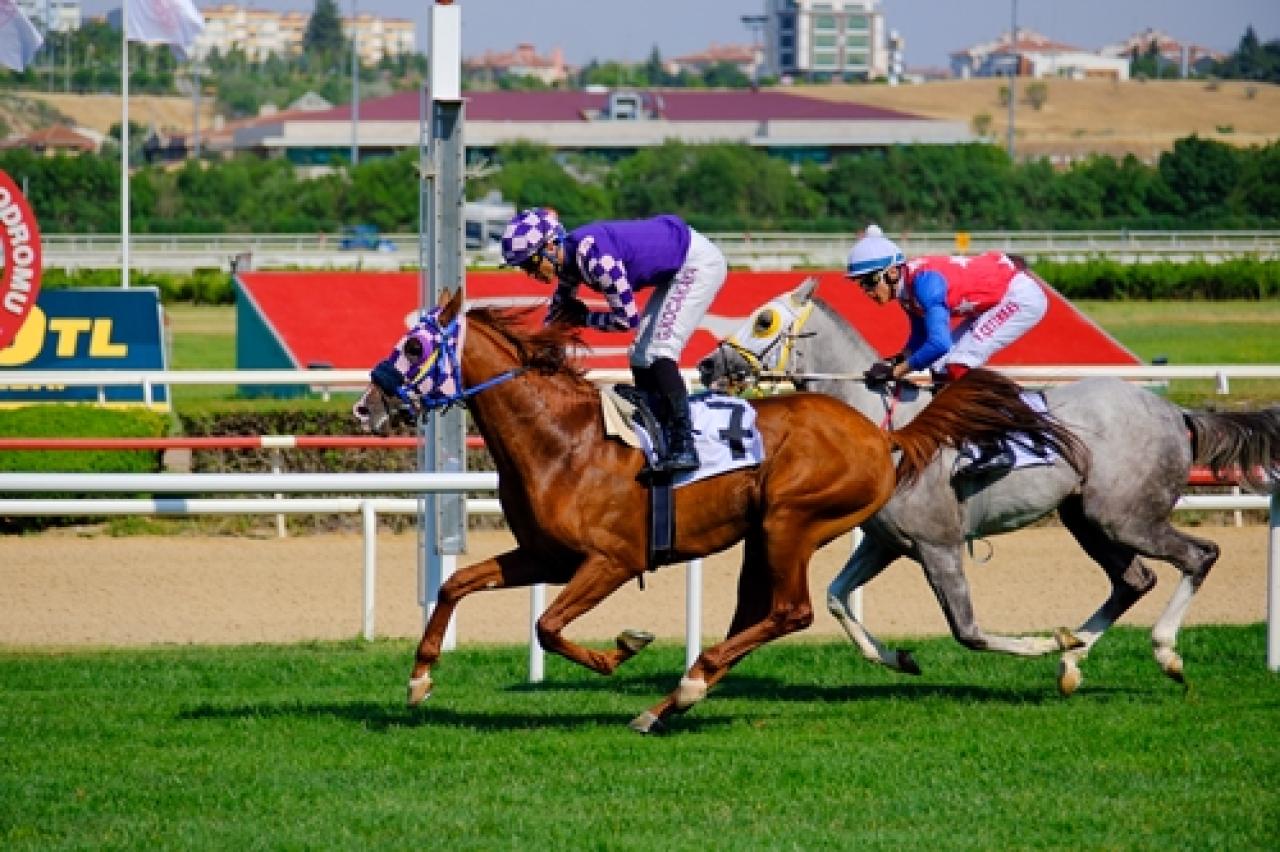 Karacabey Tarım İşletmesi Koşusu’nun galibi Kayıpsız oldu