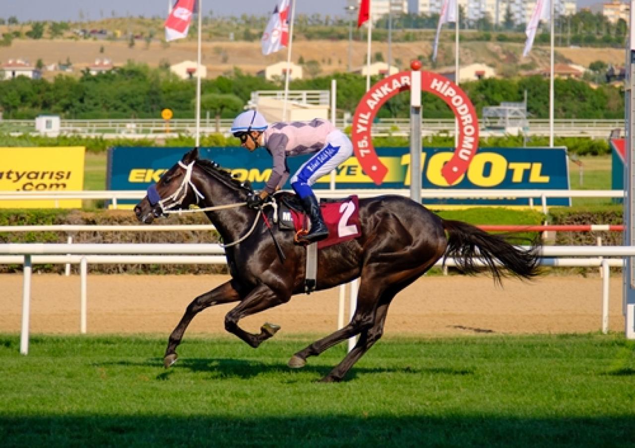 Ankara Jandarma Koşusu’nu Battle For Glory kazandı