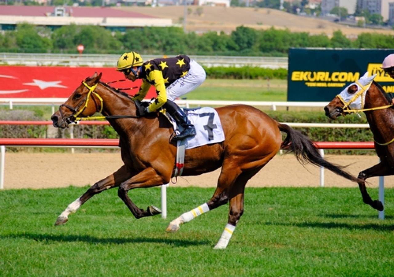 Demokrasi ve Milli Birlik Günü Koşusu'nu Loco Sugar kazandı