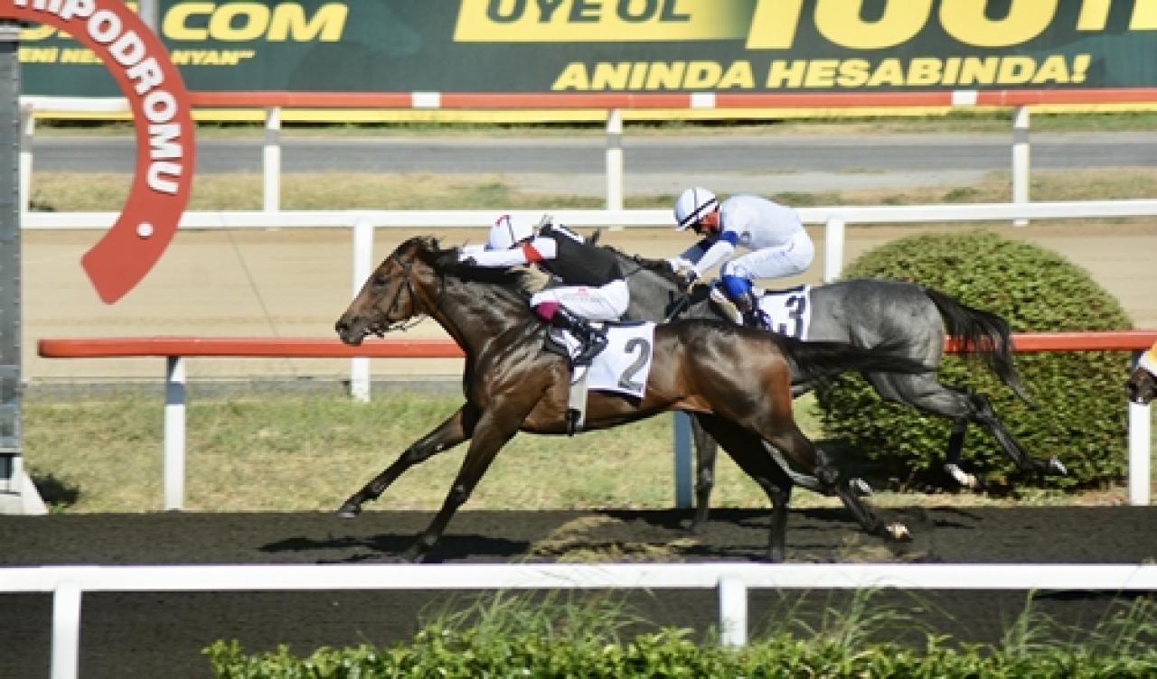 Beyoğlu Koşusu'nu Hope Breeze kazandı