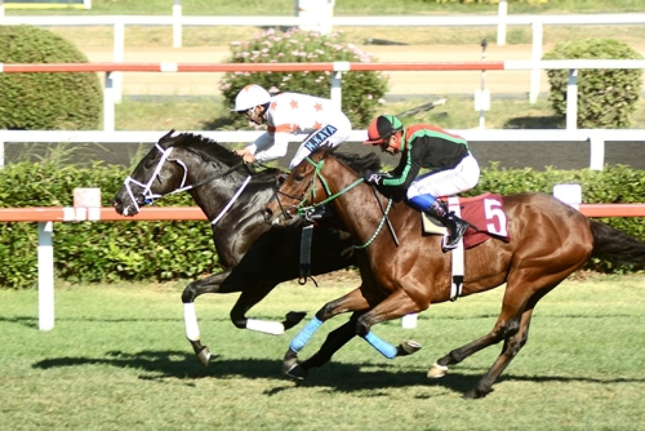 Osman T. Atakol Koşusu’nda birinciliğe Ride The Lightning uzandı