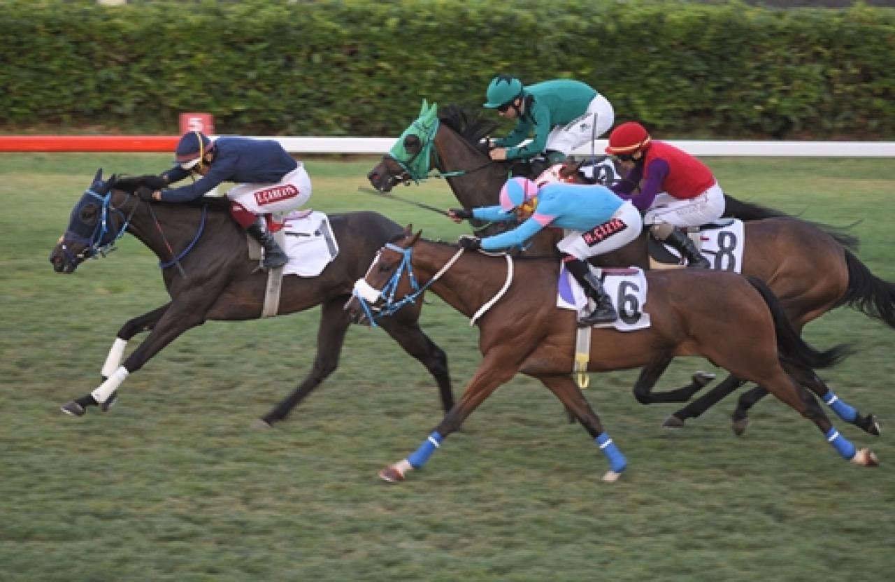 Özdemir Atman Koşusu'nda kazanan Beauty Of Darkness oldu