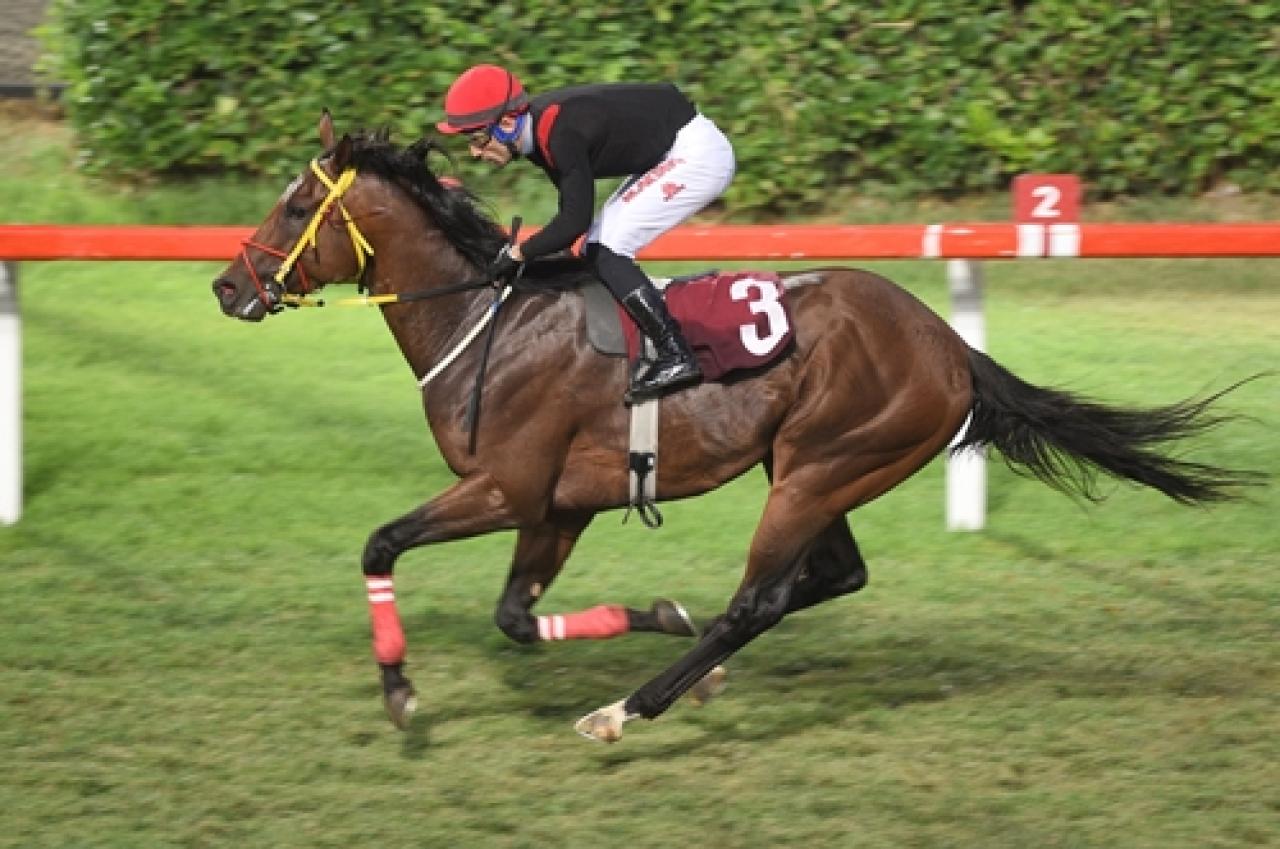 Bi’Talih Yarışseverler Koşusu’nda galibiyet Jan Aqua’nın oldu