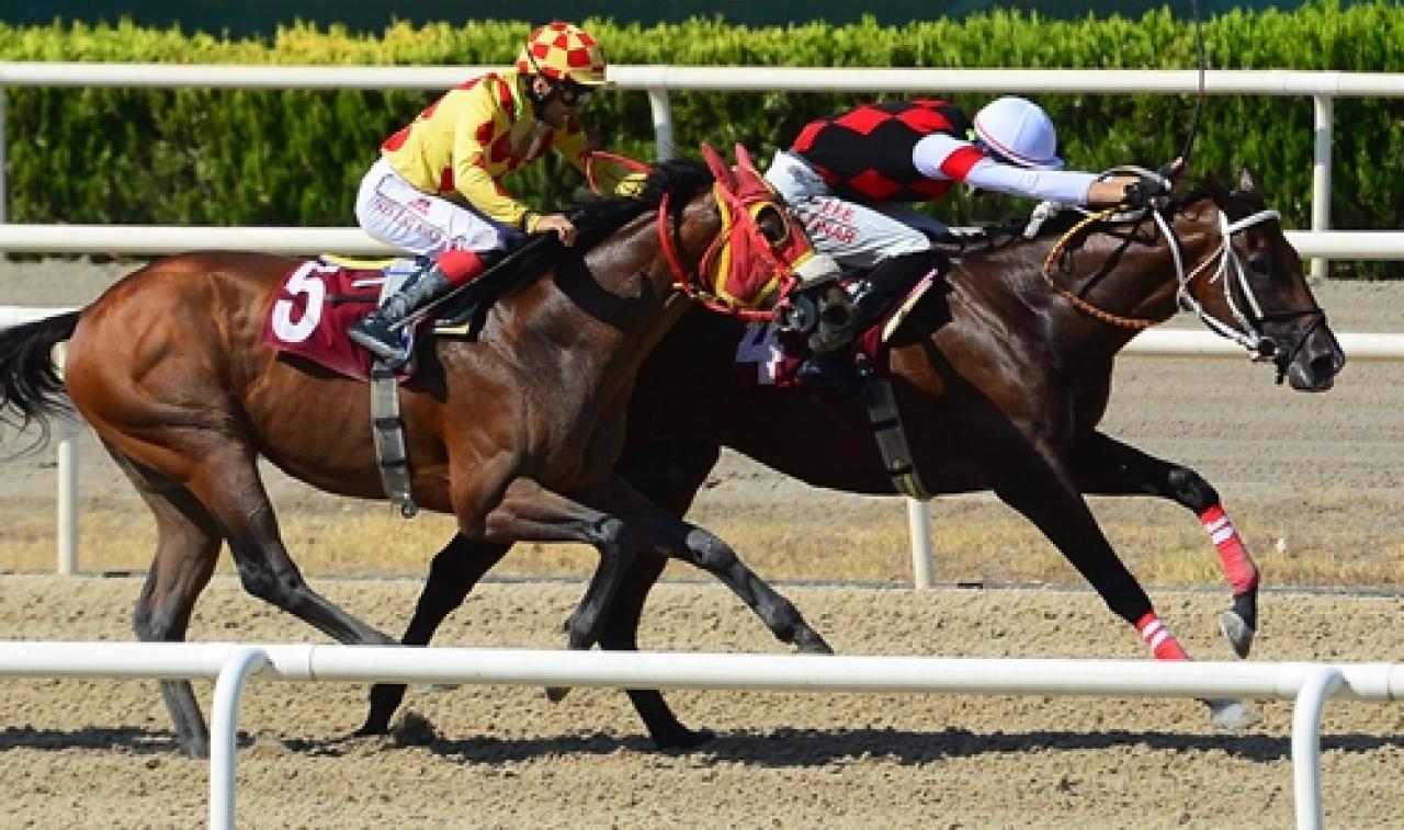Uğurcan Demirbaş Koşusu'nu Born To Run kazandı