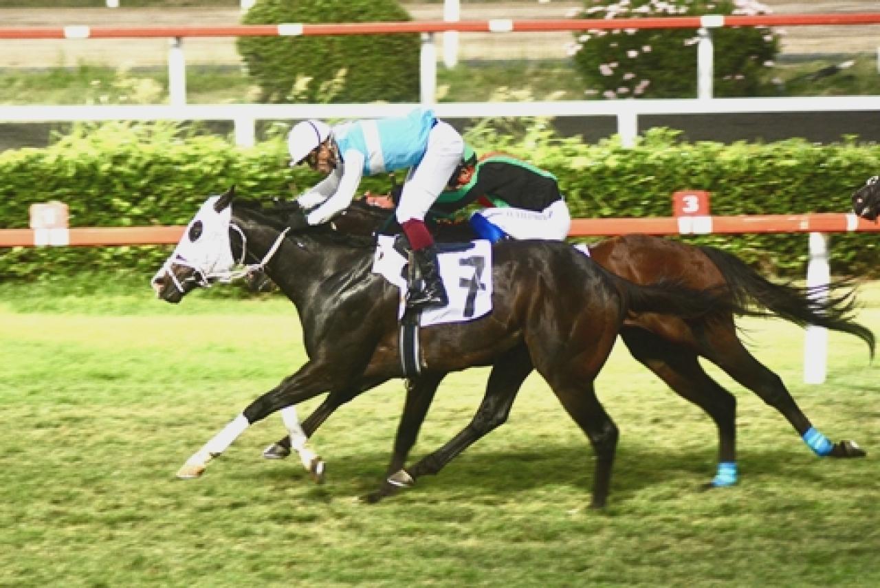 Prof. Dr. Kenan Binak Koşusu’nda galibiyete Tulumar ulaştı