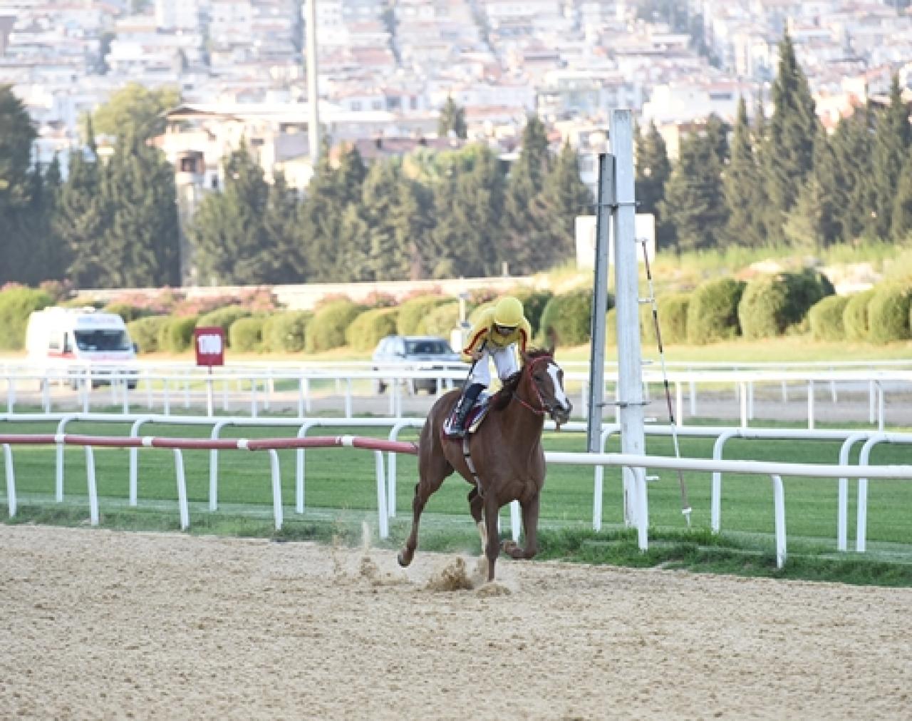 Osman Aksoy Koşusu'nda kazanan Gold Cash