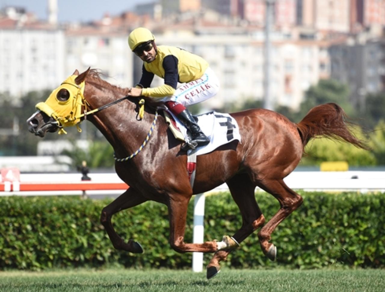 Niğbolu Koşusu'nda zafere Kahramanoğlu ulaştı