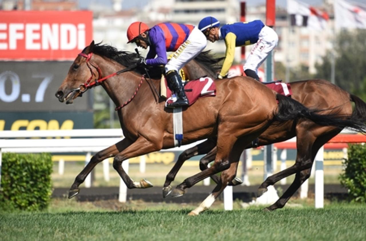 Muzaffer Bozok Koşusu’nu Estimate kazandı