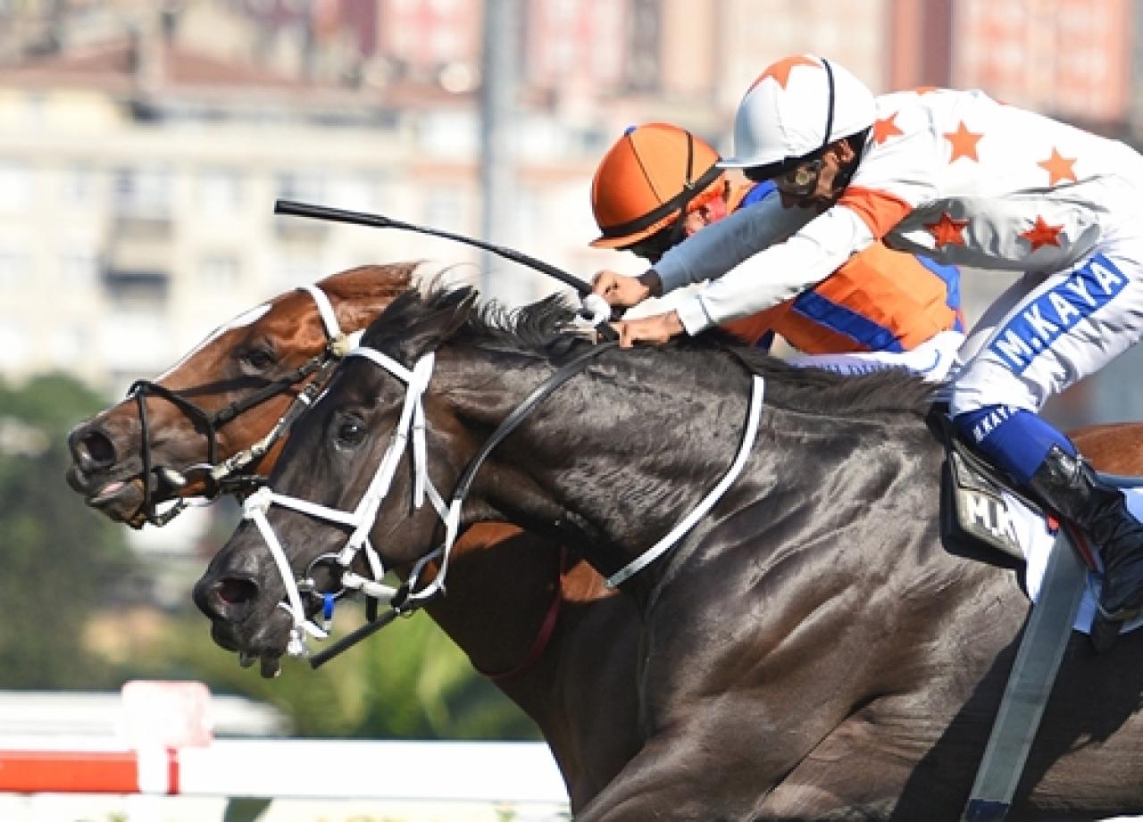 Avrasya Koşusu’nda zafere uzanan Al Tan oldu