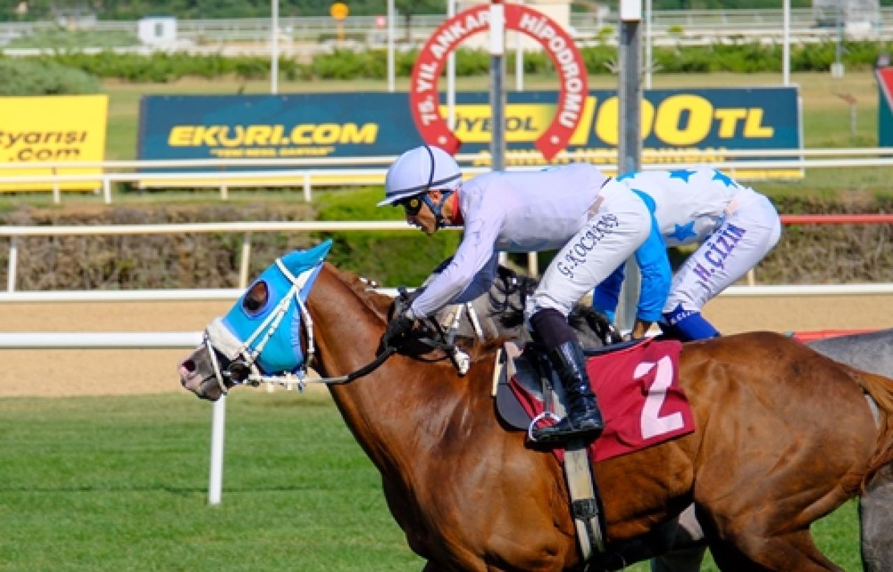 Türkiye Bedensel Engelliler Spor Federasyonu Koşusu’nu The King Siayer kazandı