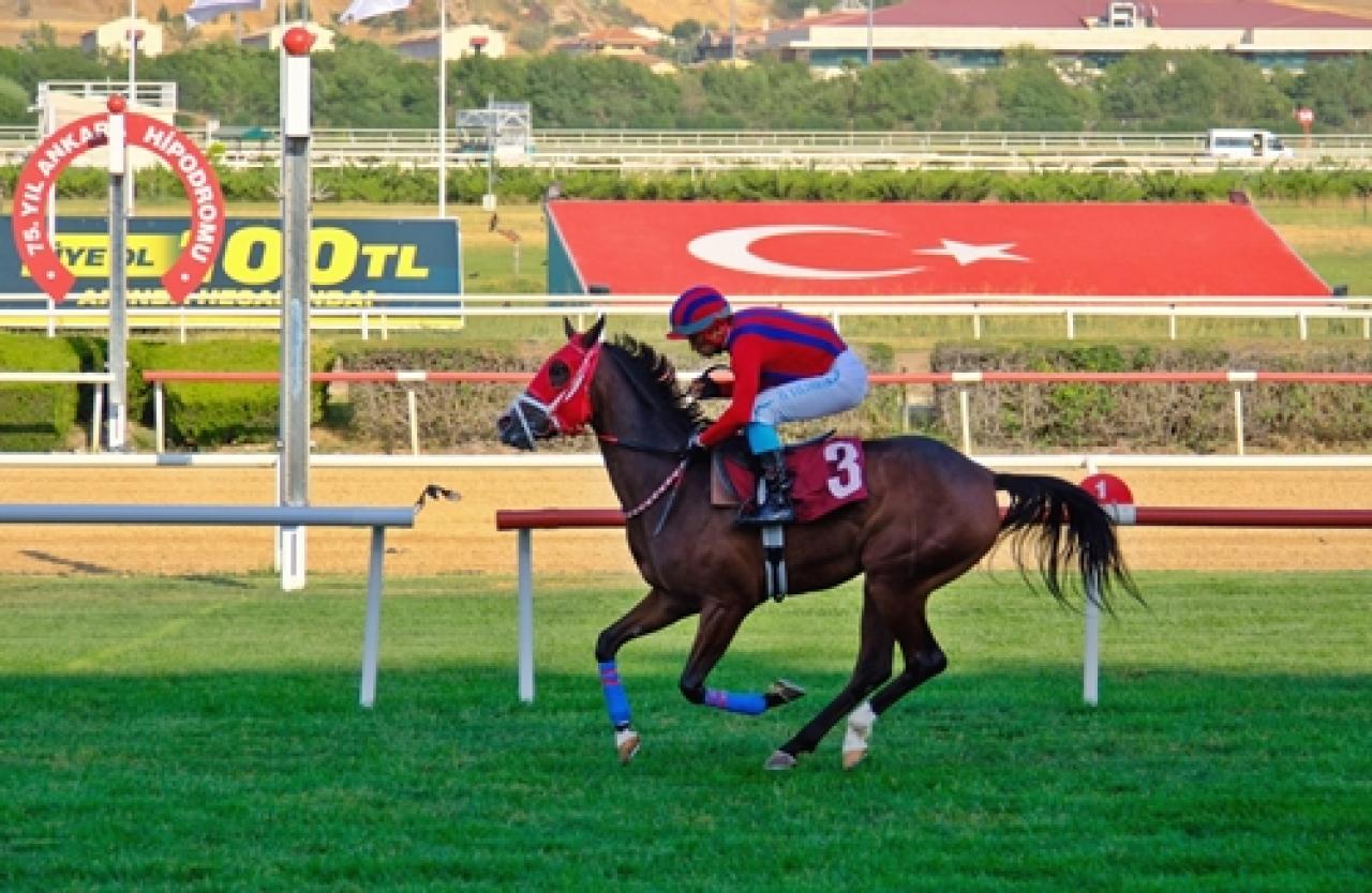 Necati Ünsal Koşusu’nda kazanan Hadi Bakalım oldu