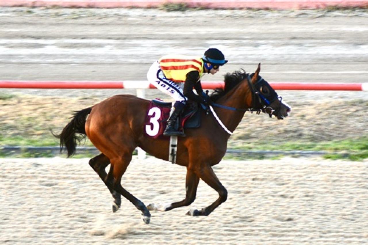 Babür Carioğlu Koşusu’nda galibiyete Secret Mirror ulaştı