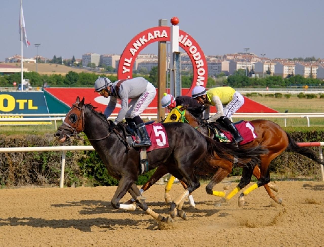 Ankara Gazeteciler Cemiyeti Koşusu'nu kazanan Black Pablo oldu