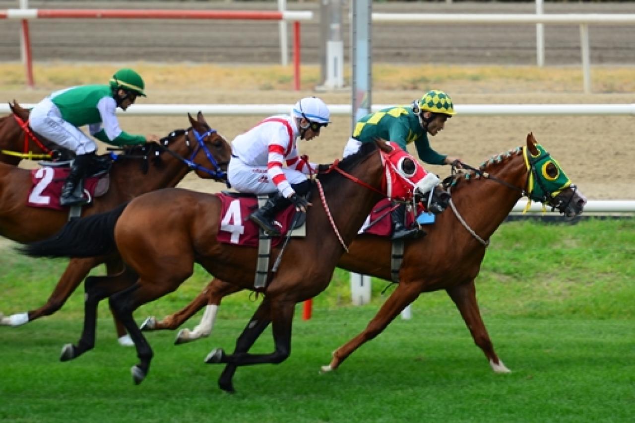 Uludağ Üniversitesi Veteriner Fakültesi Koşusu’nu Yekgel kazandı