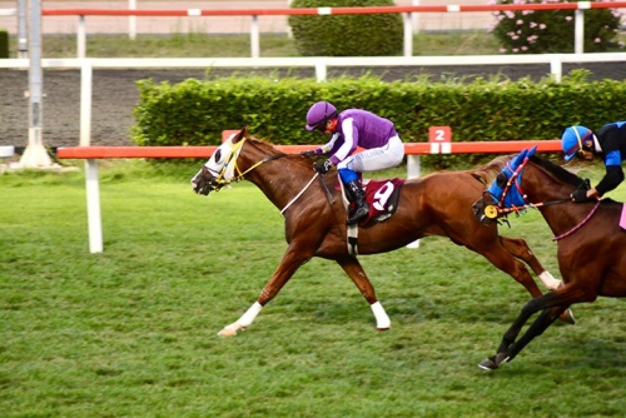 Nedim Ökmen Koşusu'nda kazanan Atabeyli oldu