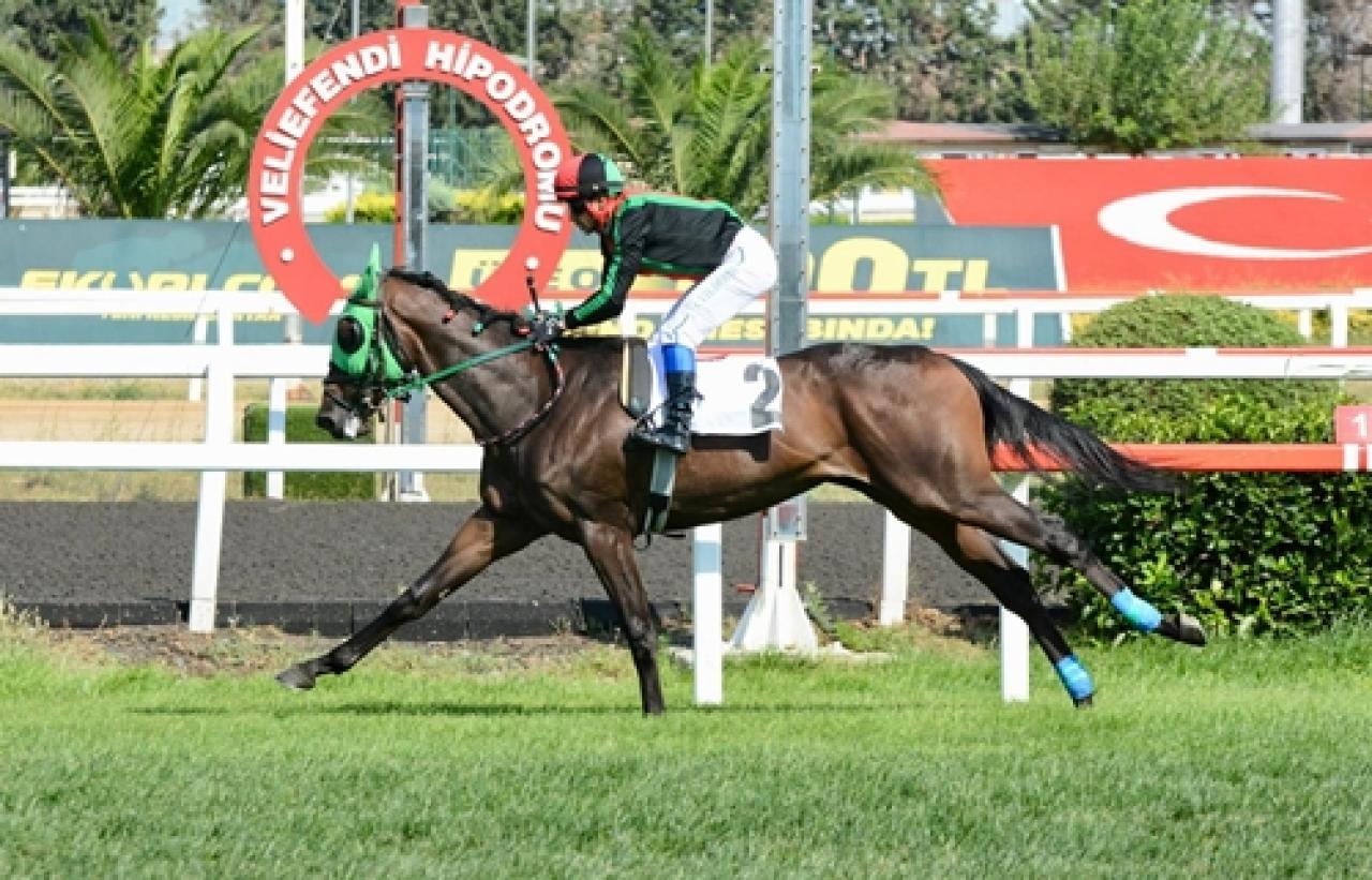 II. İnönü Koşusu'nu El Gladiador kazandı