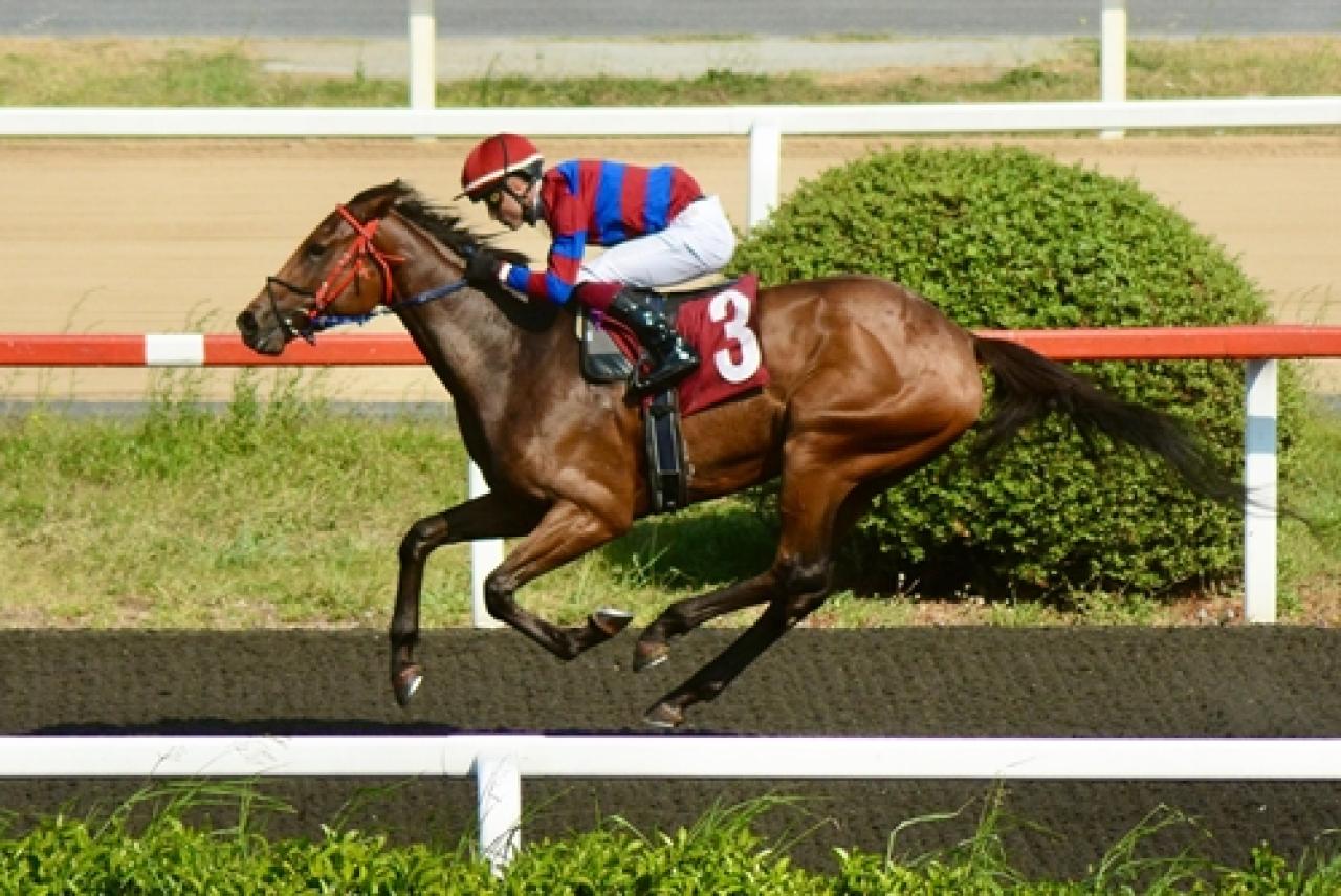 Nuri Dürüst Koşusu’nda kazanan Visenya oldu