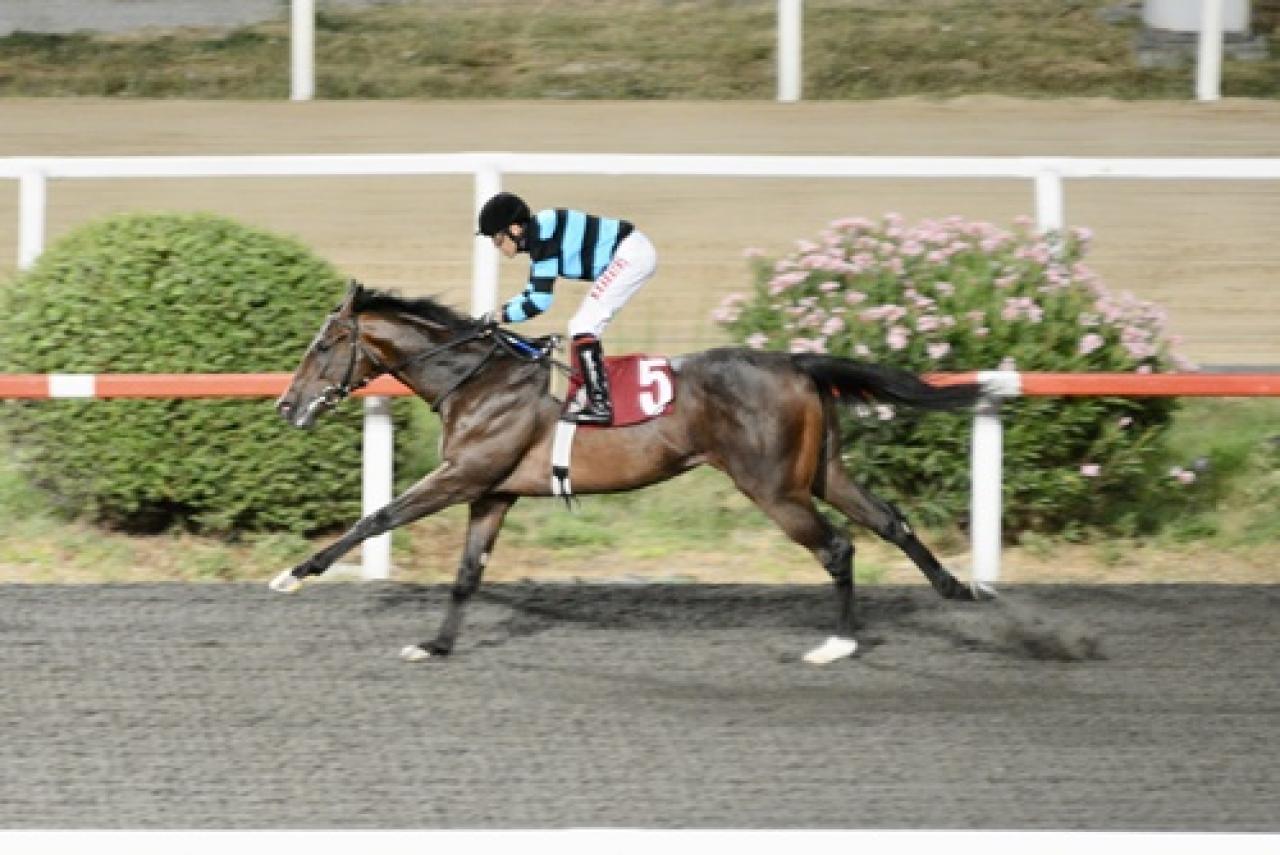 Seyfettin Çalbatur Koşusu'nu Statue Of Liberty kazandı