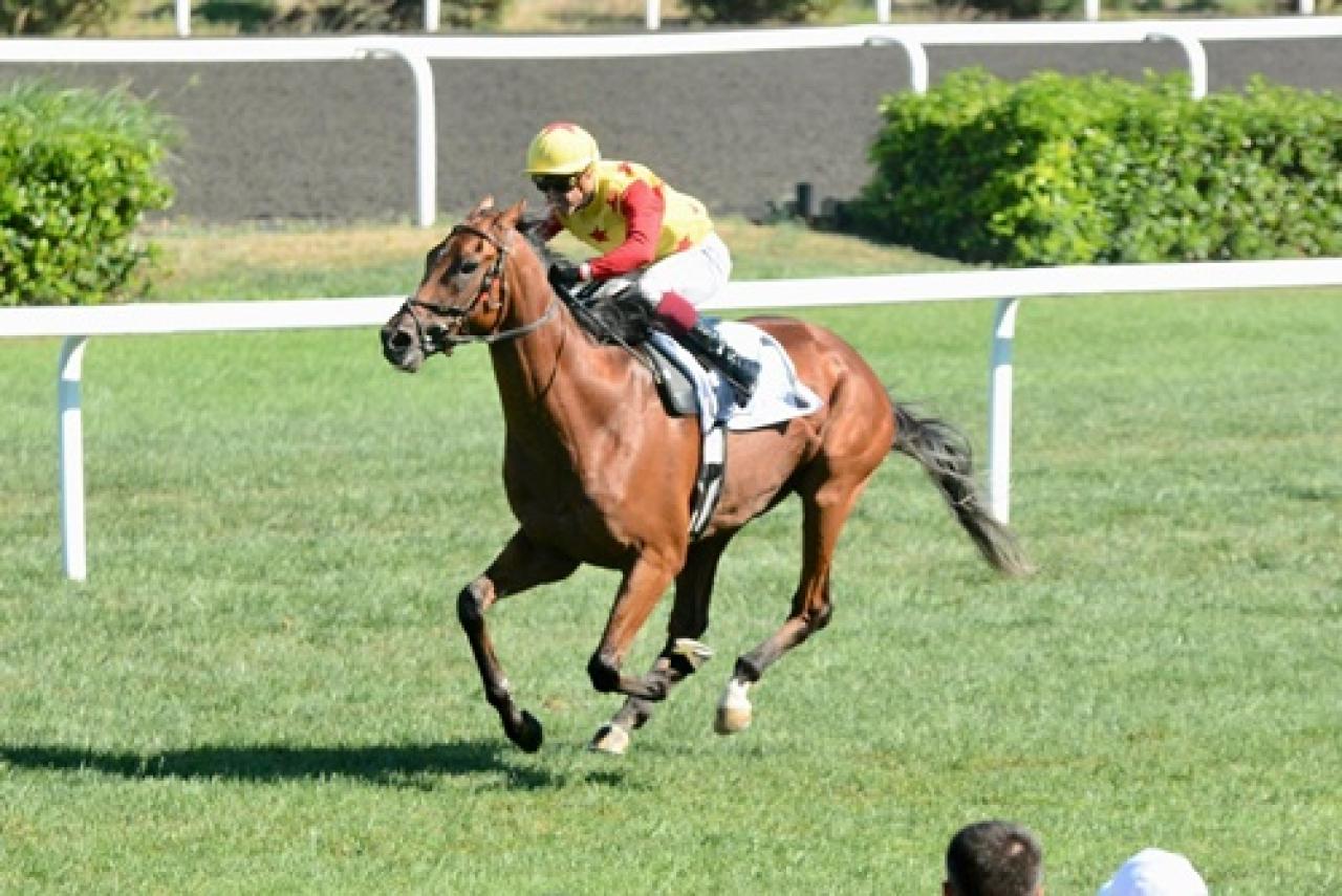 Mimar Sinan Koşusu’nda zafere Brave Jumper ulaştı