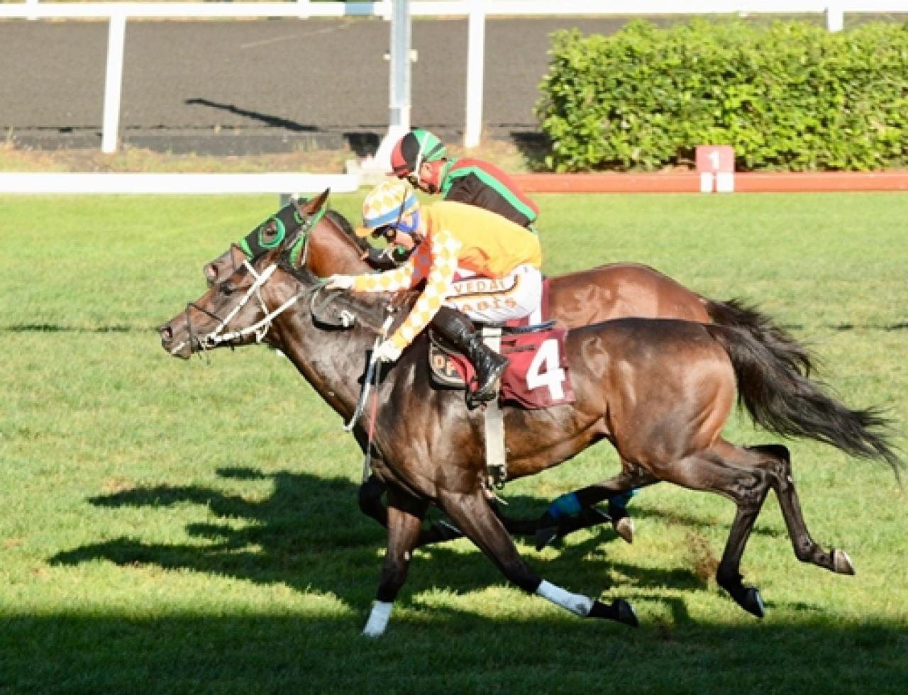 M. Kemal Karamehmet Koşusu’nda galibiyete uzanan Decent Man oldu