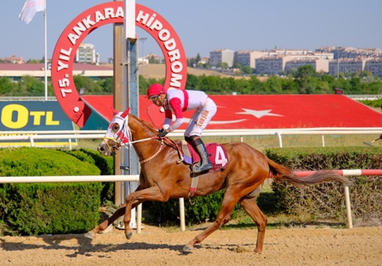Sahil Güvenlik Komutanlığı (Ankara) Koşusu’nu Froster kazandı
