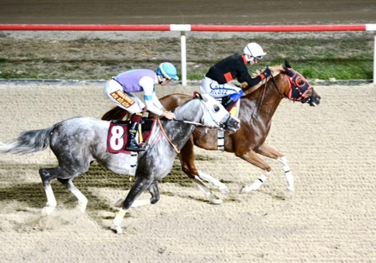 Kartepe Belediyesi Koşusu'nu Uluarat kazandı