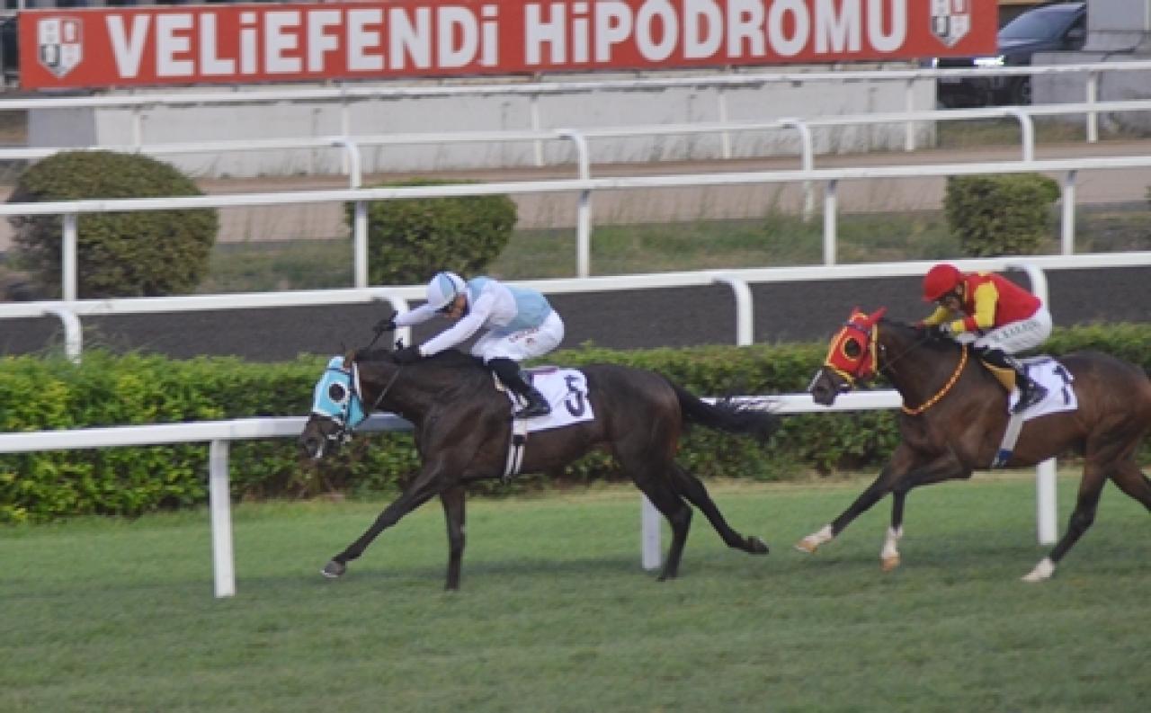 Celal Bayar Koşusu’nu Tor Gold kazandı