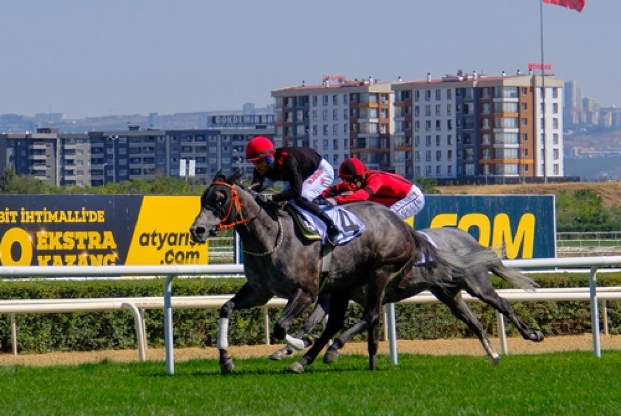 Karadeniz Koşusu'nda kazanan General Briella oldu