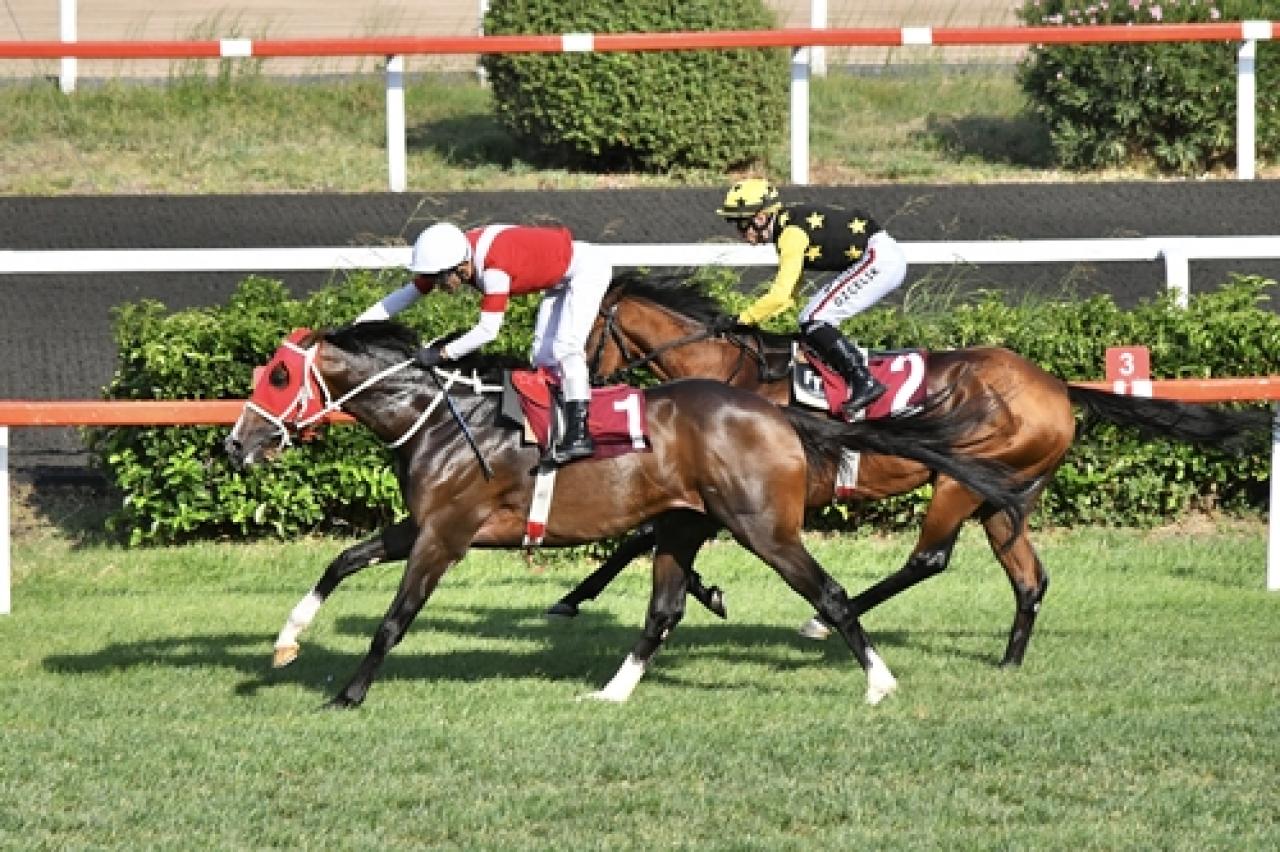 Sadettin Atığ Koşusu'nda kazanan Altınsima