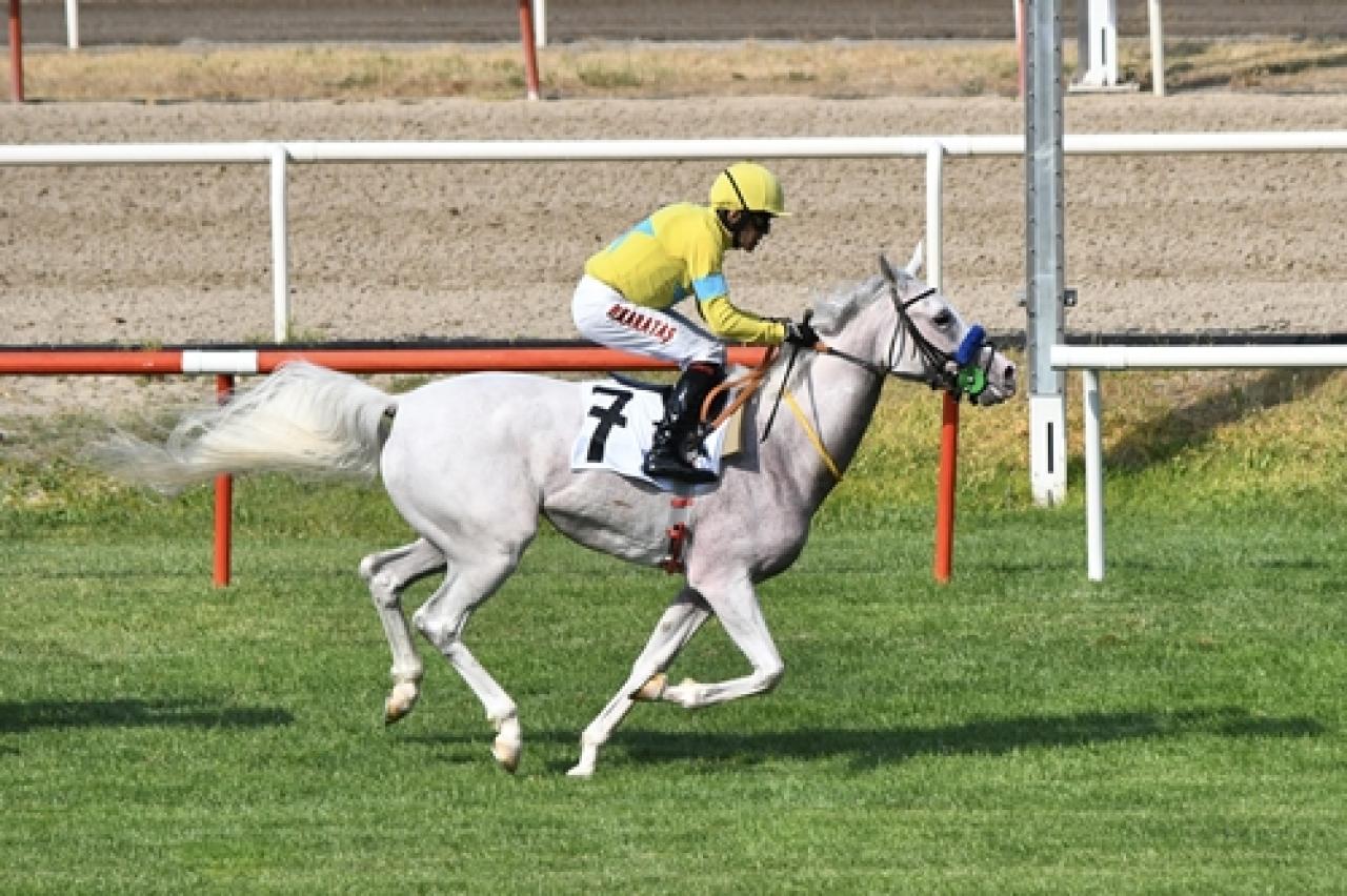 Bursa Vali Koşusu'nda galibiyete Gözpınarı ulaştı
