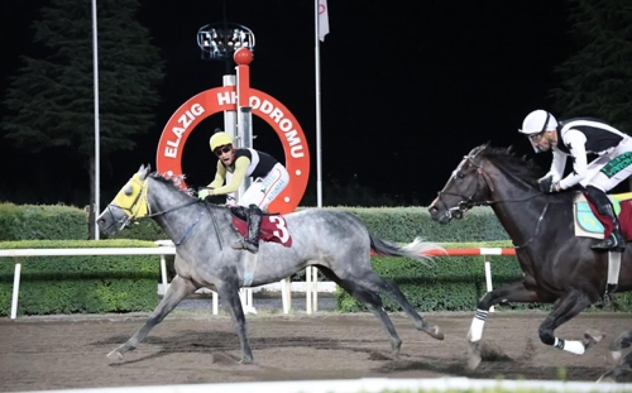 Prof. Dr. Mustafa Temizer Koşusu’nu King Heso kazandı