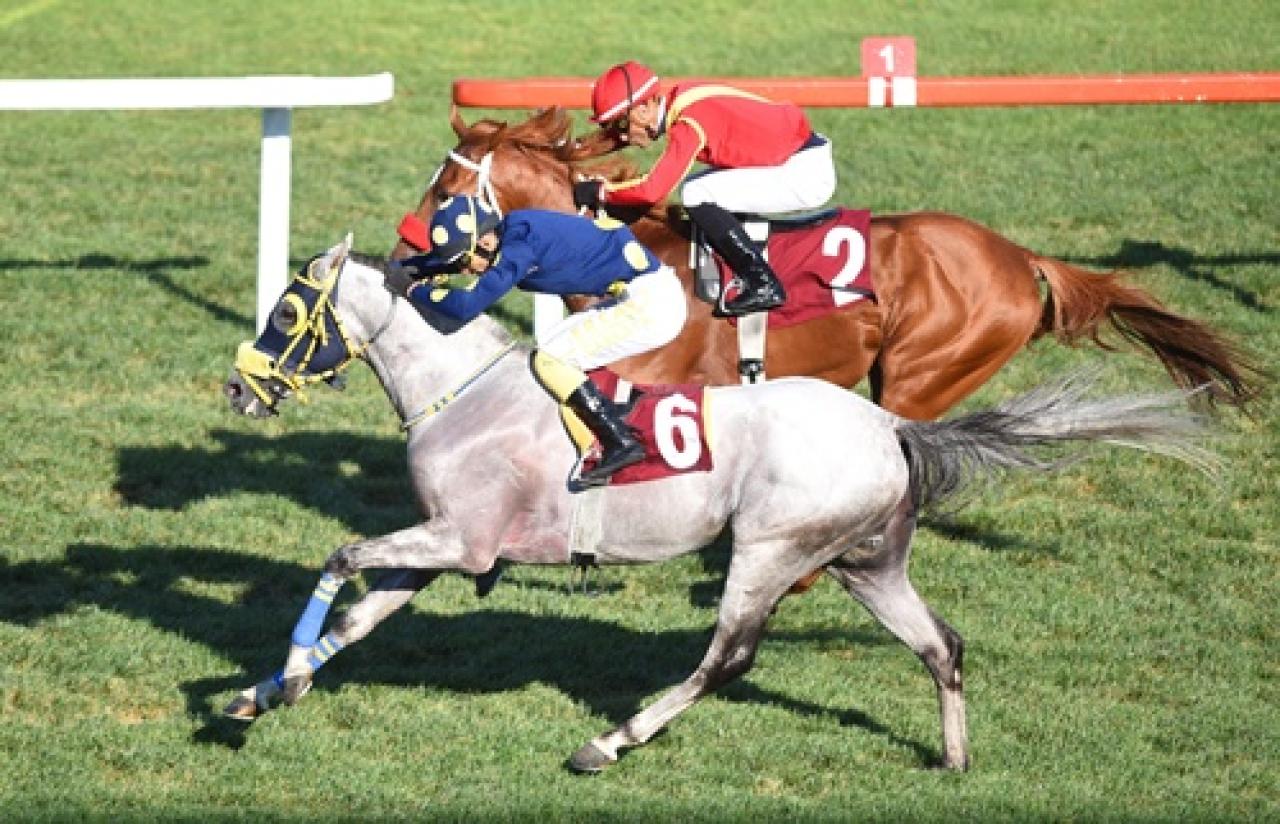 Bakırköy Belediye Başkanlığı Koşusu'nu Mister Win kazandı