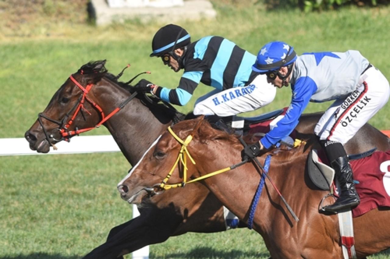 M. Halim Celaloğlu Koşusu’nu Massava kazandı