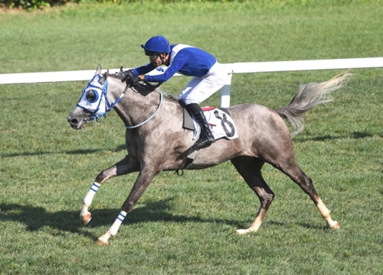 Aziziye Koşusu’nun galibi Özmen Bey oldu