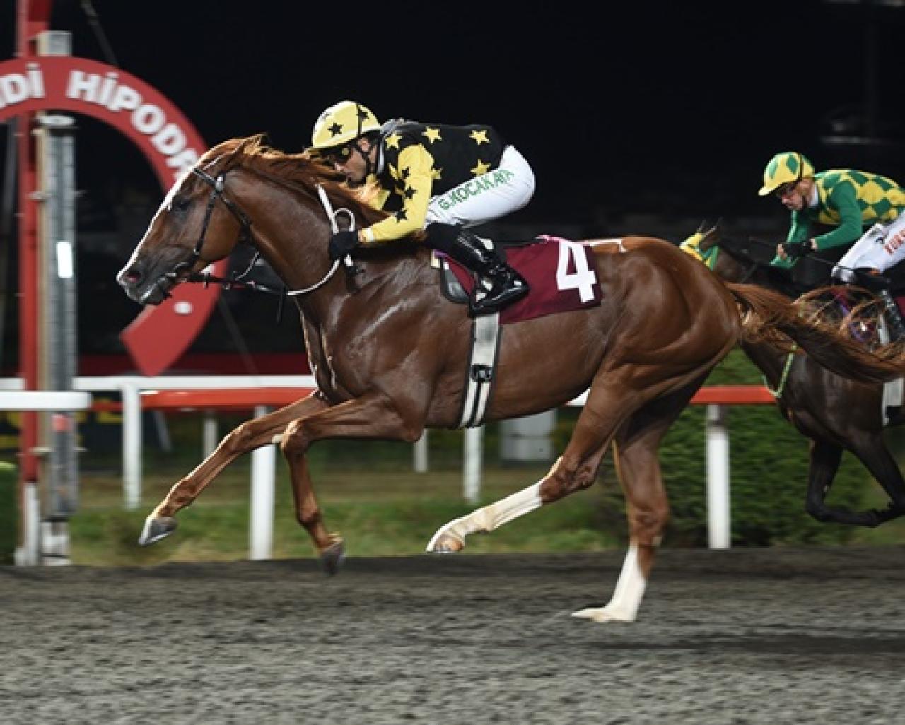 Dr. Özcan Kızılkaya Koşusu'nu Poetry In Motion kazandı