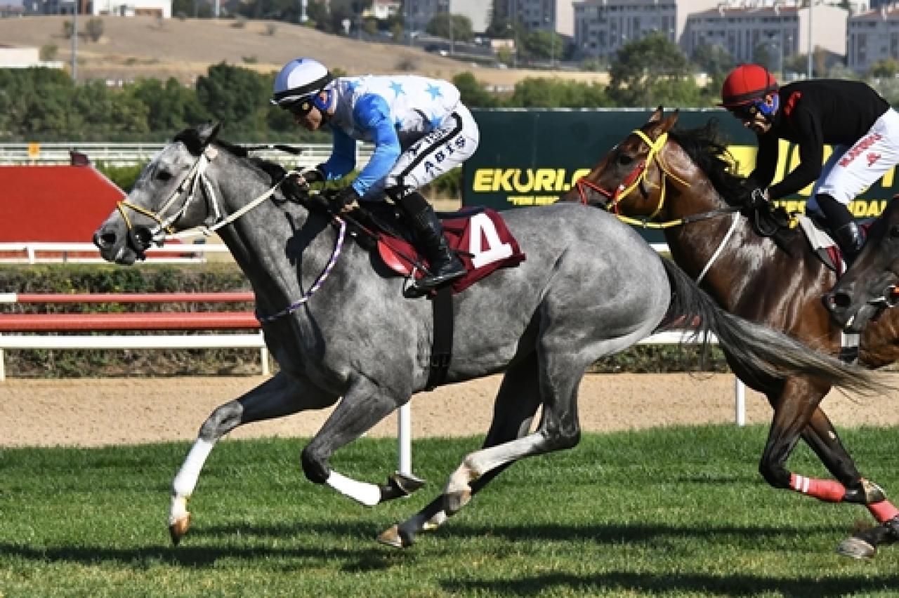 İbrahim Kirazoğlu Koşusu'nda kazanan Thomas Shelby