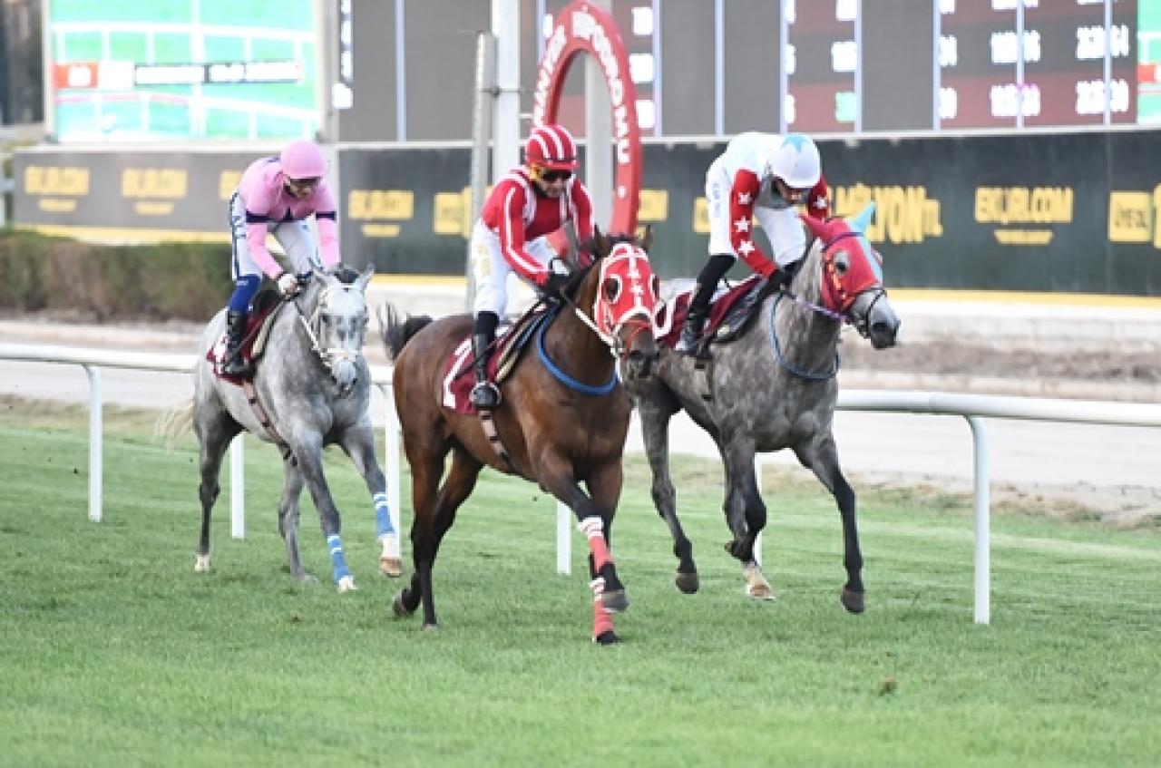Konak Belediye Başkanlığı Koşusu’nda galibiyete Gutshot uzandı