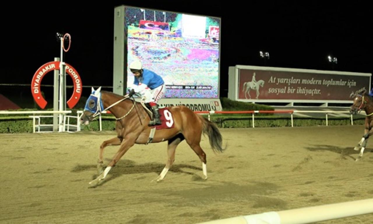 Diyarbakır Büyükşehir Belediye Başkanlığı Koşusu'nu Sevinçli kazandı