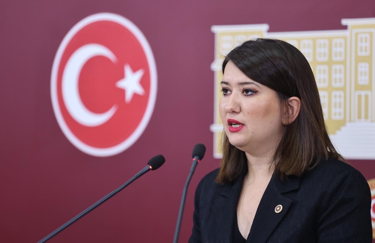 Gökçe Gökçen: “Barış Ancak Herkesin Düşüncesini Özgürce İfade Edebildiği, Gazetecilerin Özgürce Haber Yapabildiği ve Halkın Yöneticileri Denetleyebildiği Bir Ortamda Mümkün Olabilir”