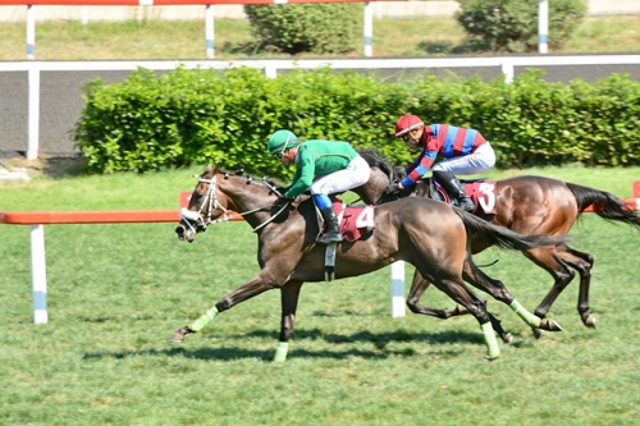 Prof. Aziz Ergin Koşusu'nu Pythagorean Theory kazandı