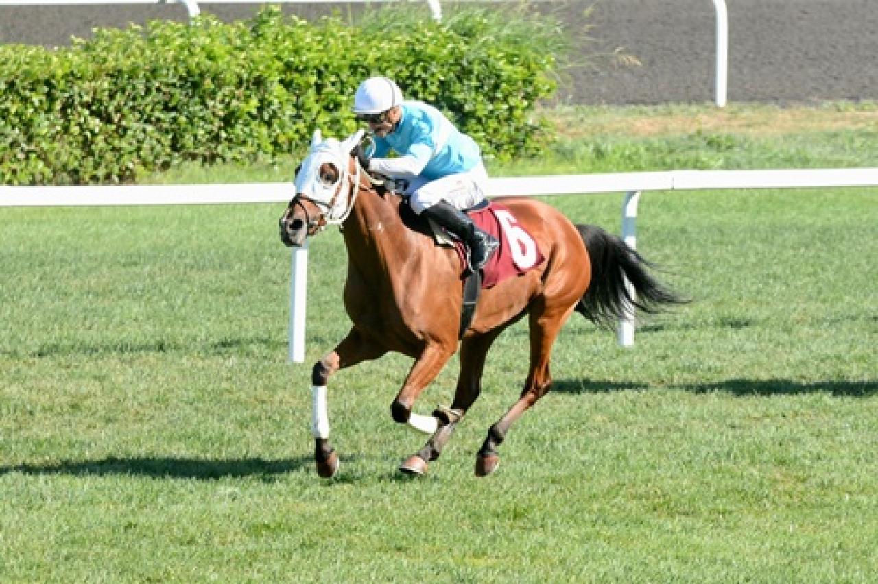 Halide Edip Adıvar Koşusu'nda birinciliğe Aman Dulo uzandı